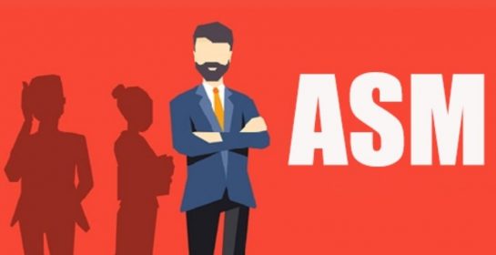 ASM là gì? Những yếu tố nào mang lại sự thành công của một Area Sales Manager?