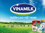 Chiến lược Marketing của Vinamilk | Thống lĩnh thị trường sữa Việt Nam