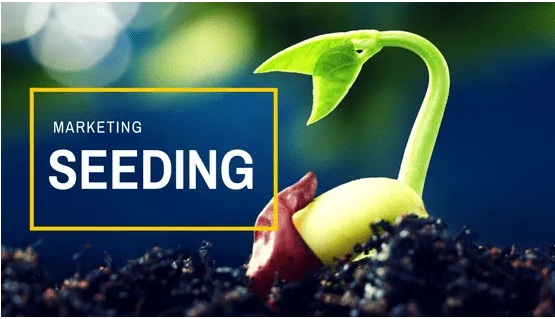 seeding là gì? lợi ích của seeding marketing