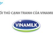 Cuộc chiến sữa Việt – Đối thủ cạnh tranh của Vinamilk là ai?