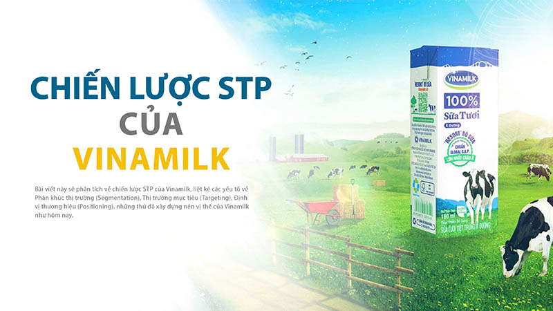 chiến lược stp của vinamilk