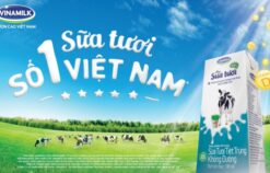 Mục tiêu truyền thông của Vinamilk cho kế hoạch hàng năm